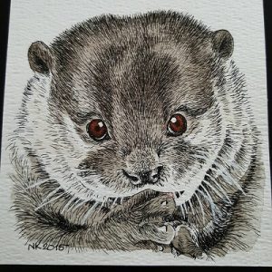 otter