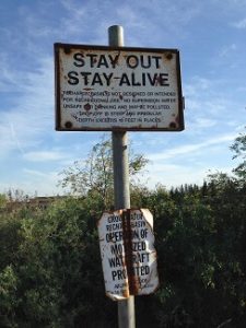 stay alive